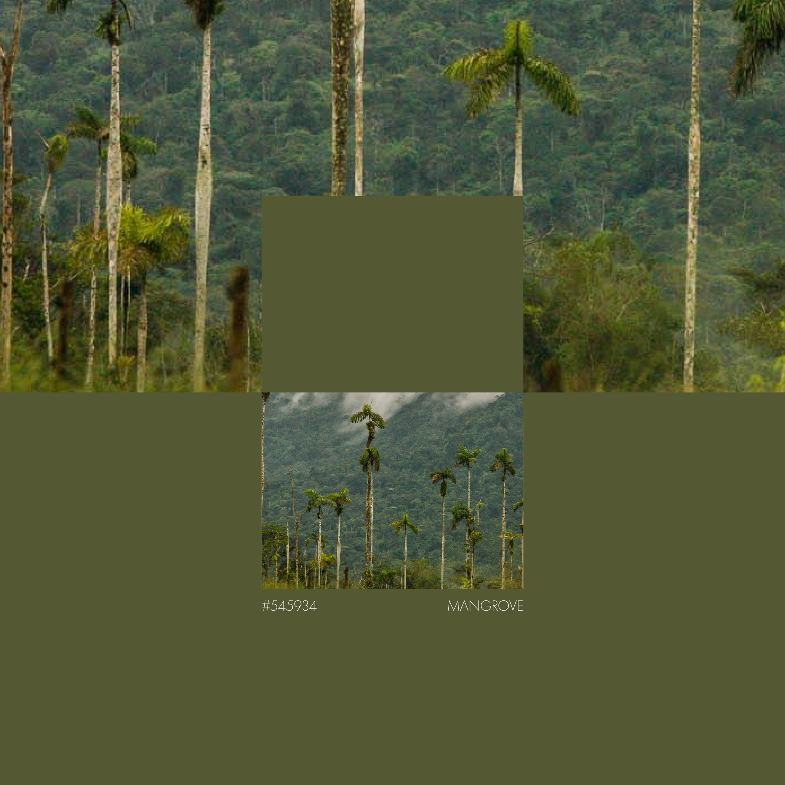 Mangrove green colour palette for BCLR luxury branding of Endurance Limits in aid of GOSH, created by a luxury design studio.