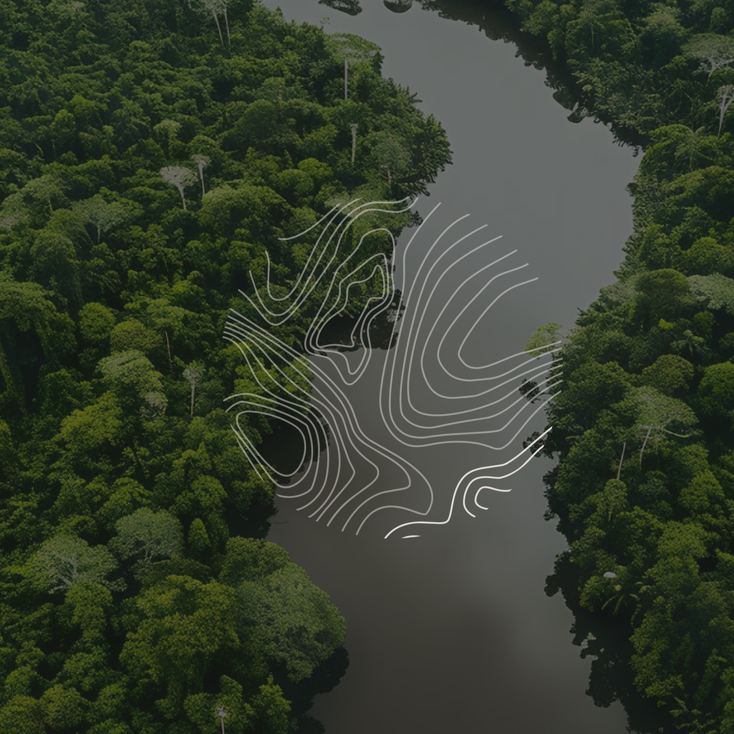 Amazon Row submark from the BCLR luxury branding logo suite for Endurance Limits in aid of GOSH, designed by a luxury design studio.