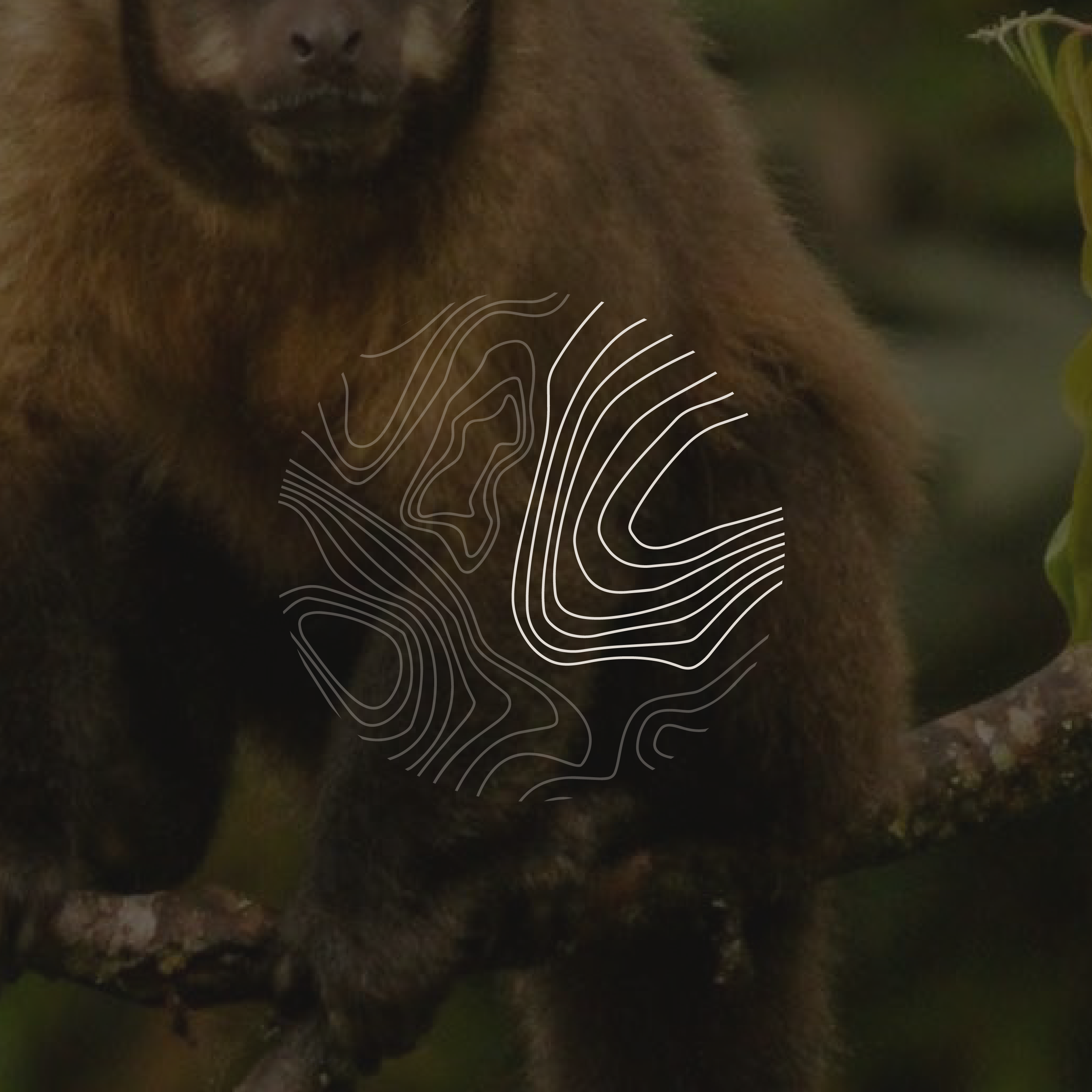 Amazon Row submark from the BCLR luxury branding logo suite for Endurance Limits in aid of GOSH, designed by a luxury design studio.