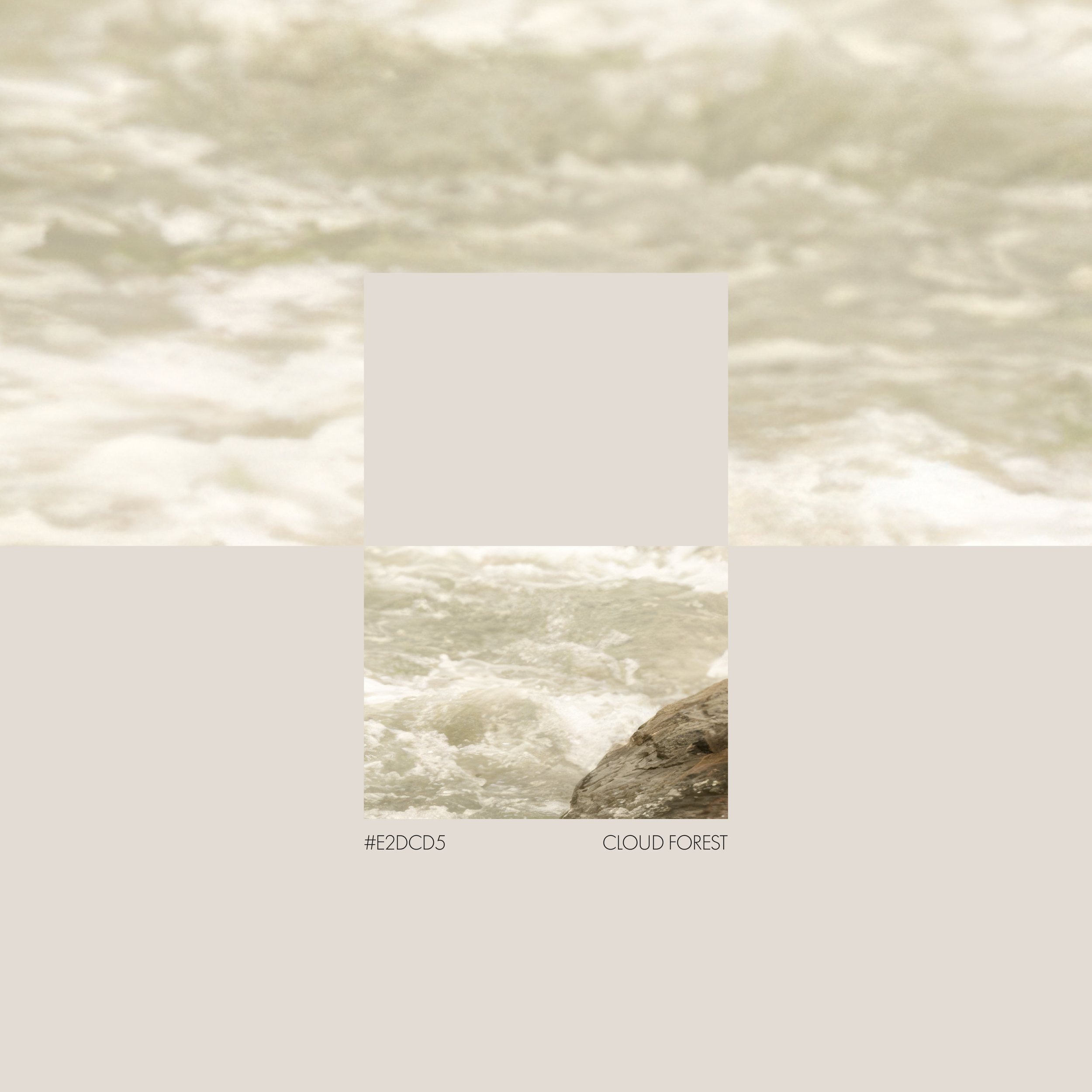 Cloud Forest colour palette for BCLR luxury branding of Endurance Limits in aid of GOSH, created by a luxury design studio.