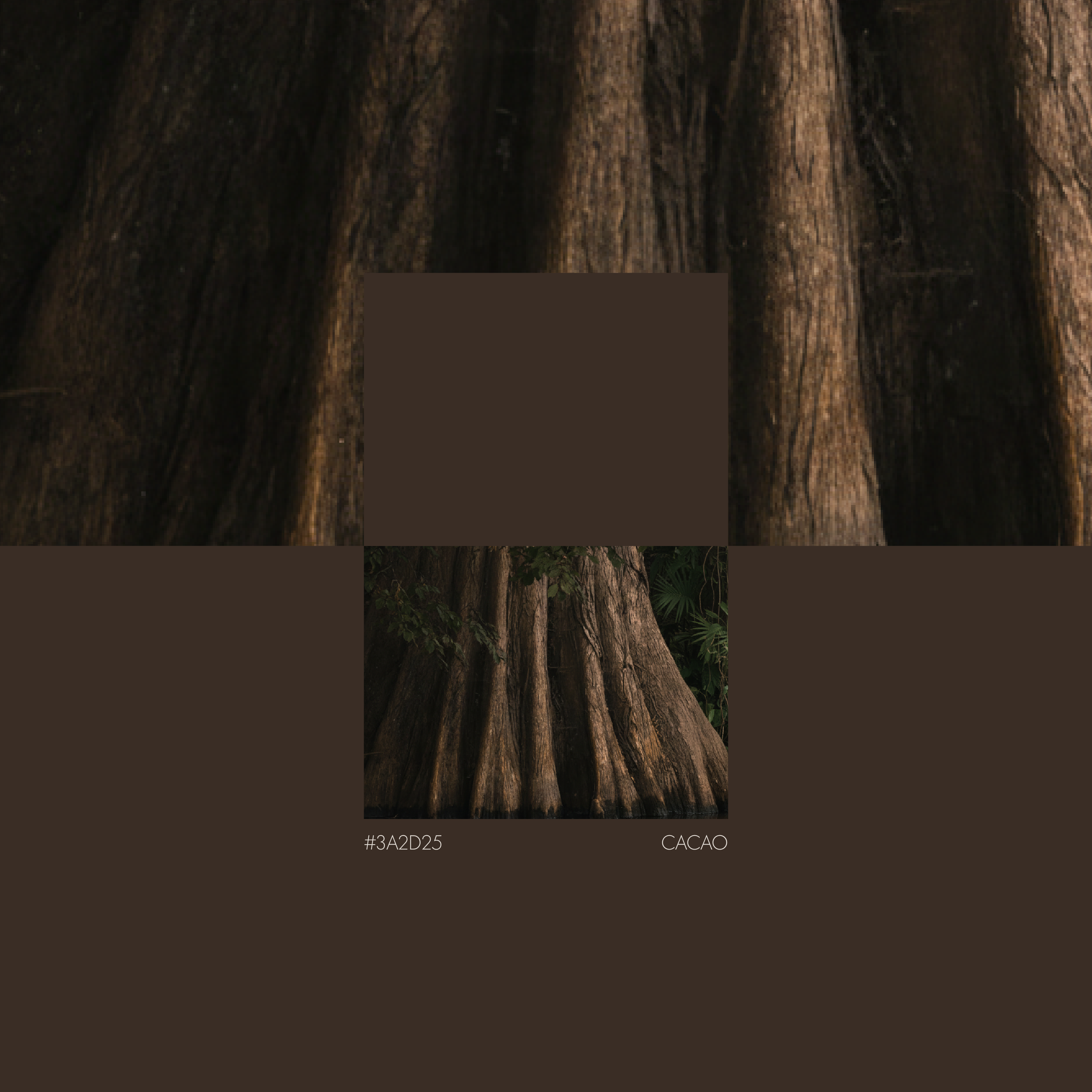 Cacao brown colour palette for BCLR luxury branding of Endurance Limits in aid of GOSH, designed by a luxury design studio.