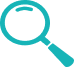 Search Icon