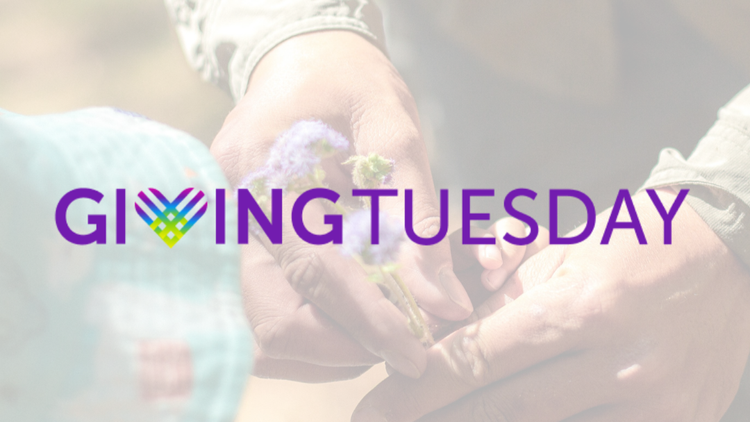 Giving Tuesday Logo with image of a kid and an adult's hands holding a purple flower