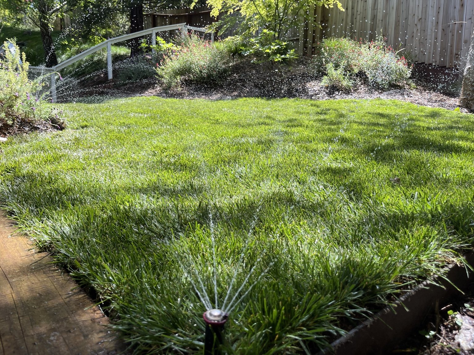 Irrigation System Installation