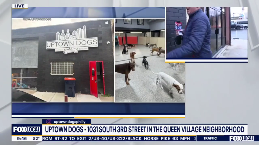Uptown Dogs on Fox 29