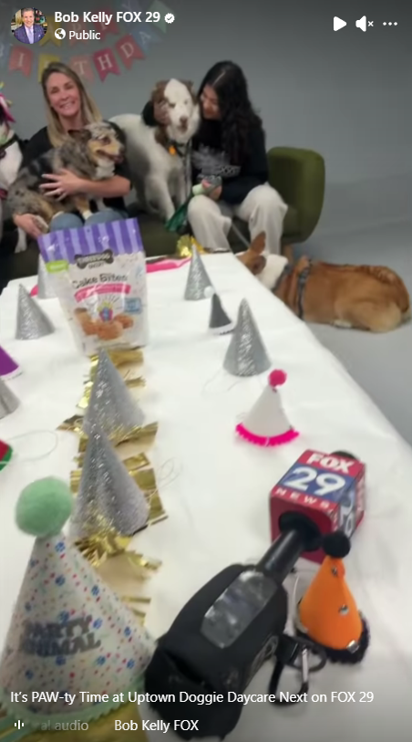 Uptown Dogs on Facebook Reel by Bob Kelly