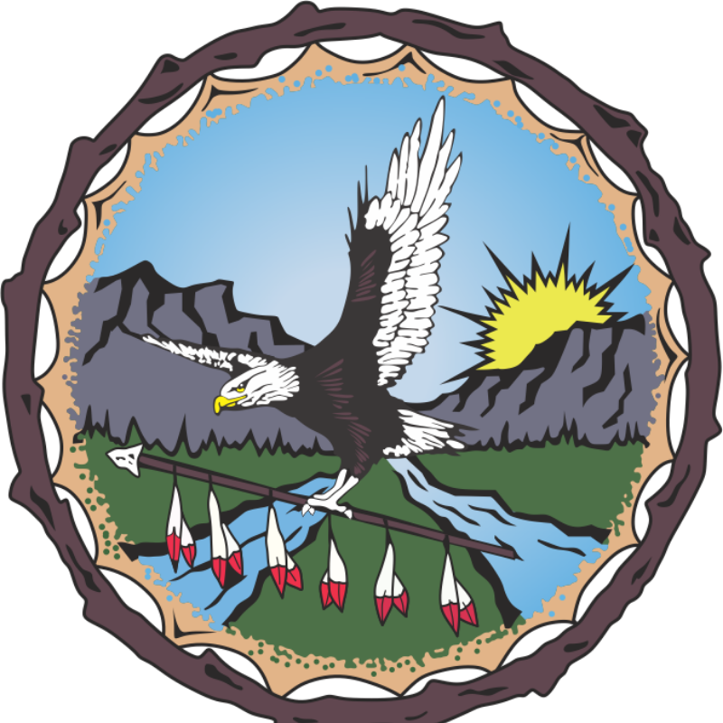Łı́ı́dlı̨ı̨ Kų́ę̨́ First Nation