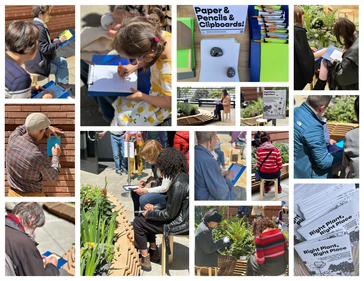 photos of SFMOMA visitors sketching on a museum patio