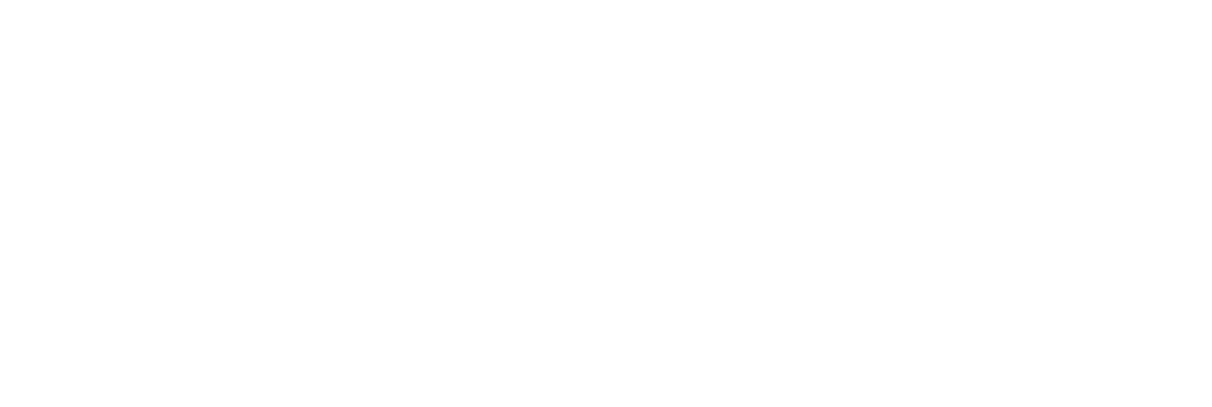 AIGA DC