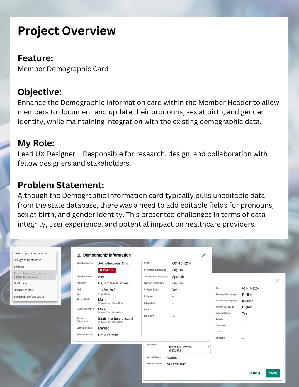 Member Demographic Card project overview and interface concepts