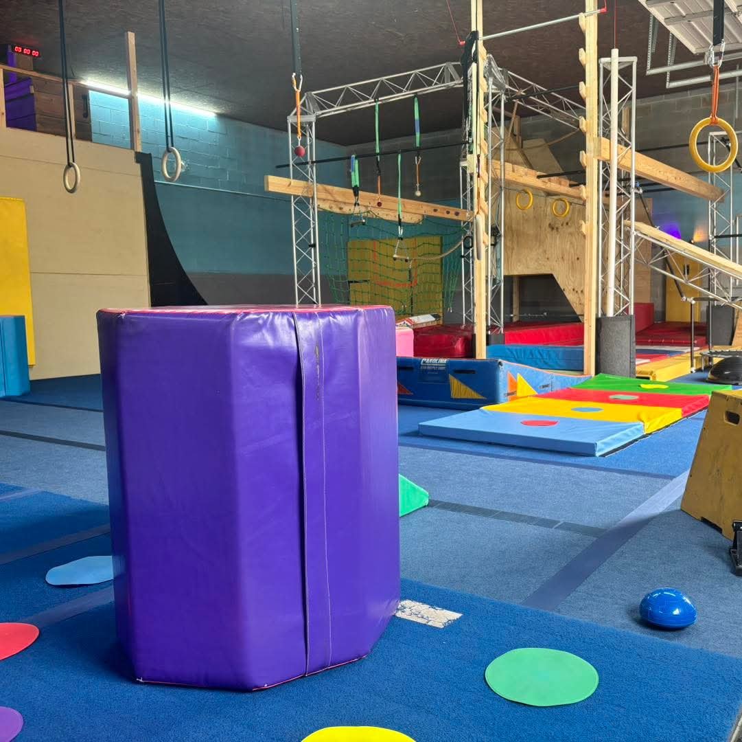 Flux Ninjas gym interior