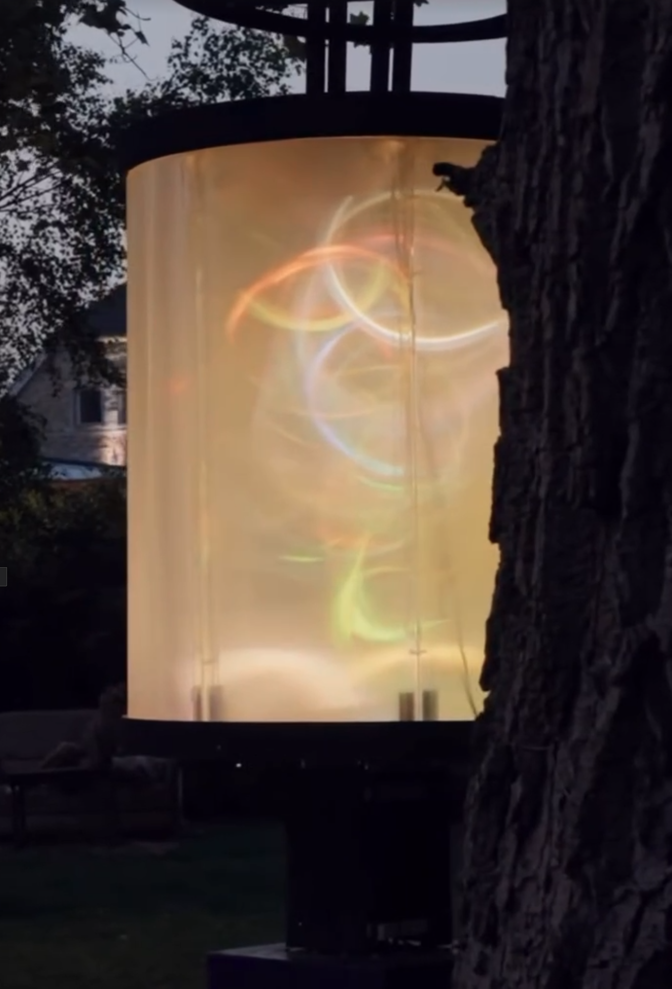 Nebula — light projection beside the tree