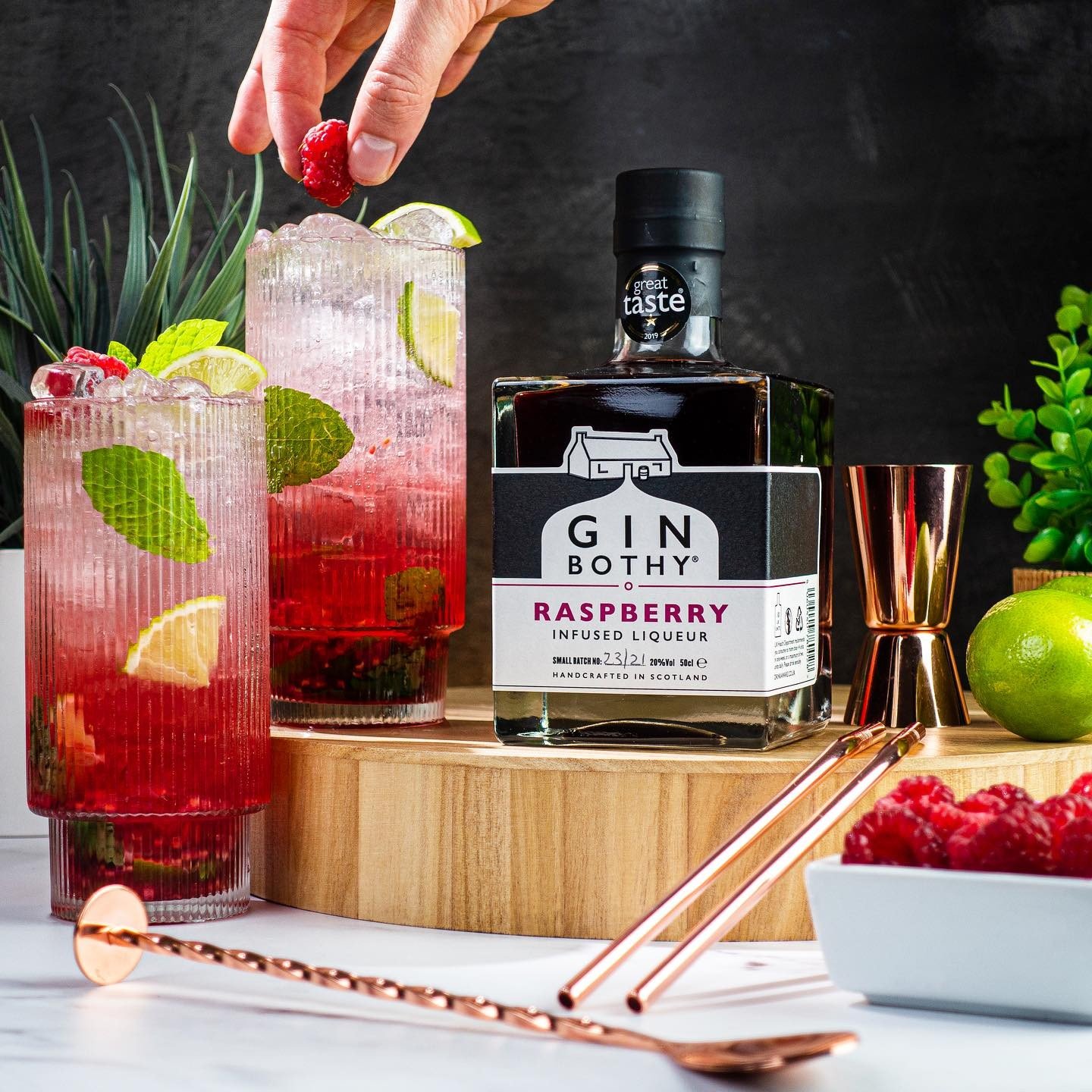 Raspberry Gin Mojito cocktail recipe by Gin & Domic