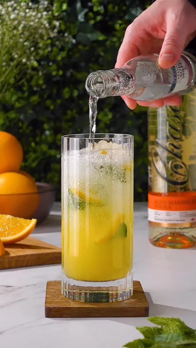 Mint Vodka Cocktail cocktail recipe by Gin & Domic