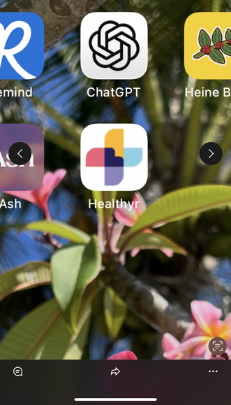 Healthyr app icon on home screen