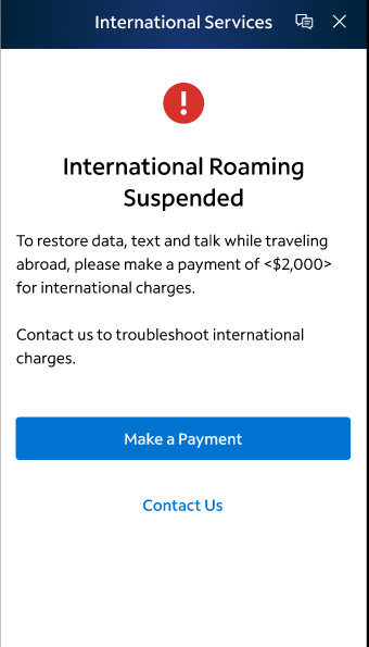 International roaming suspended