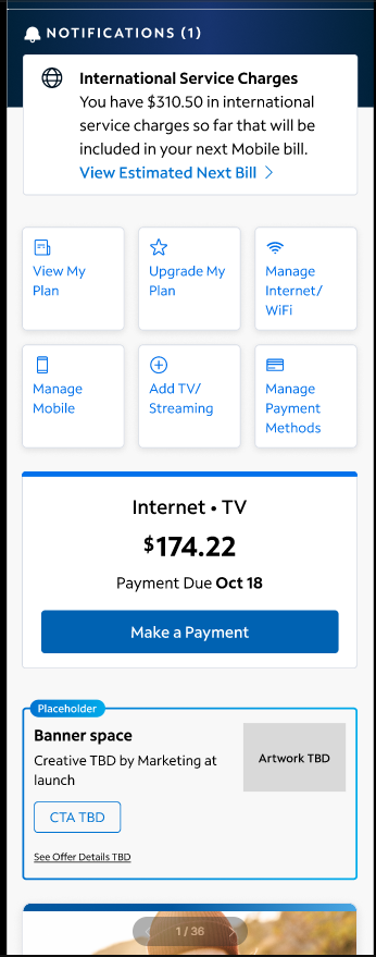 Roaming charges notification