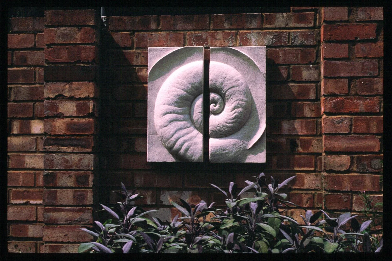 Ammonite Petite II (Right) - White - styling inspiration 1