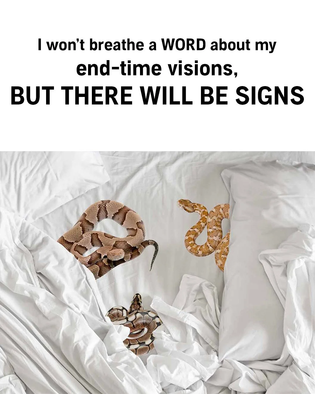 Snakes
