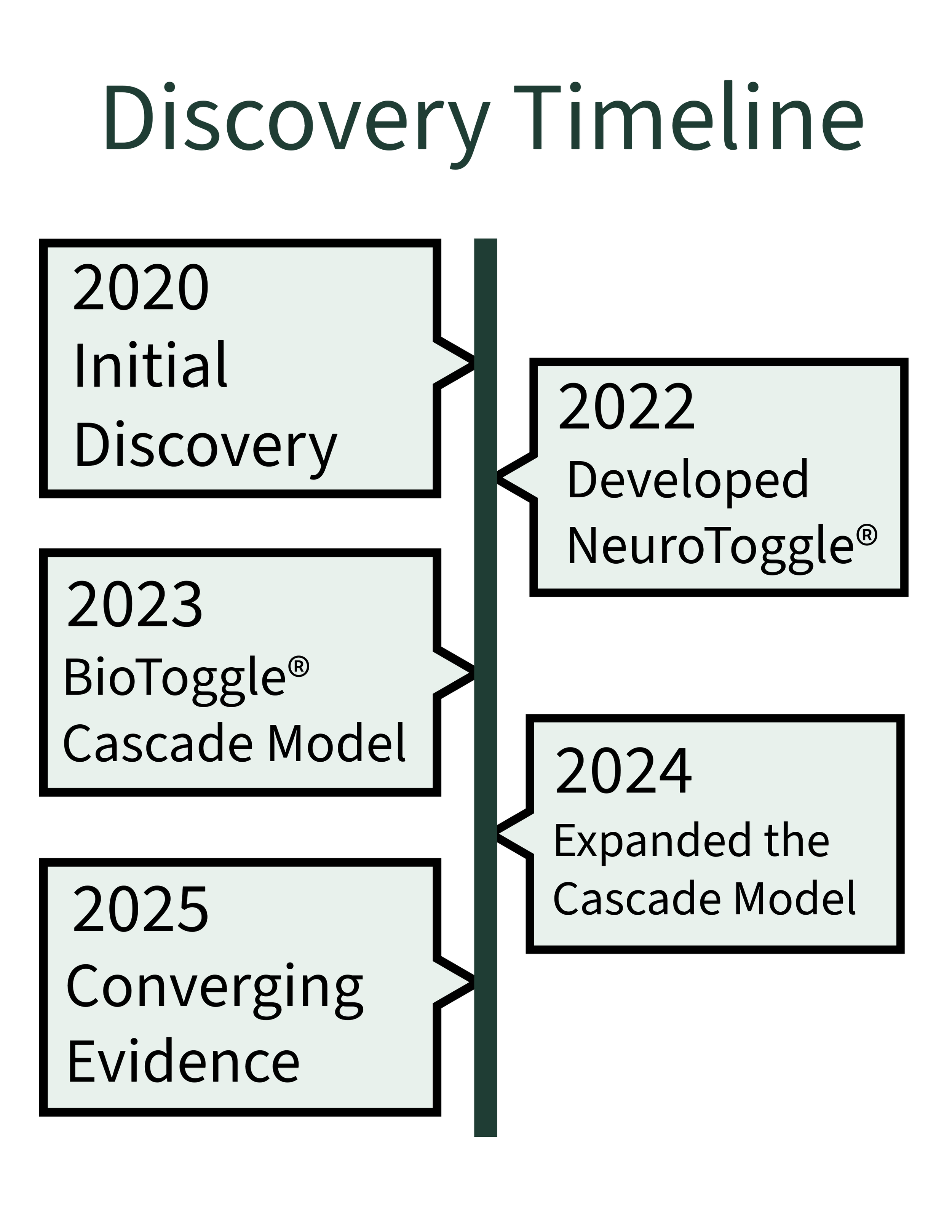 Timeline of Kimberly Kitzerow's work