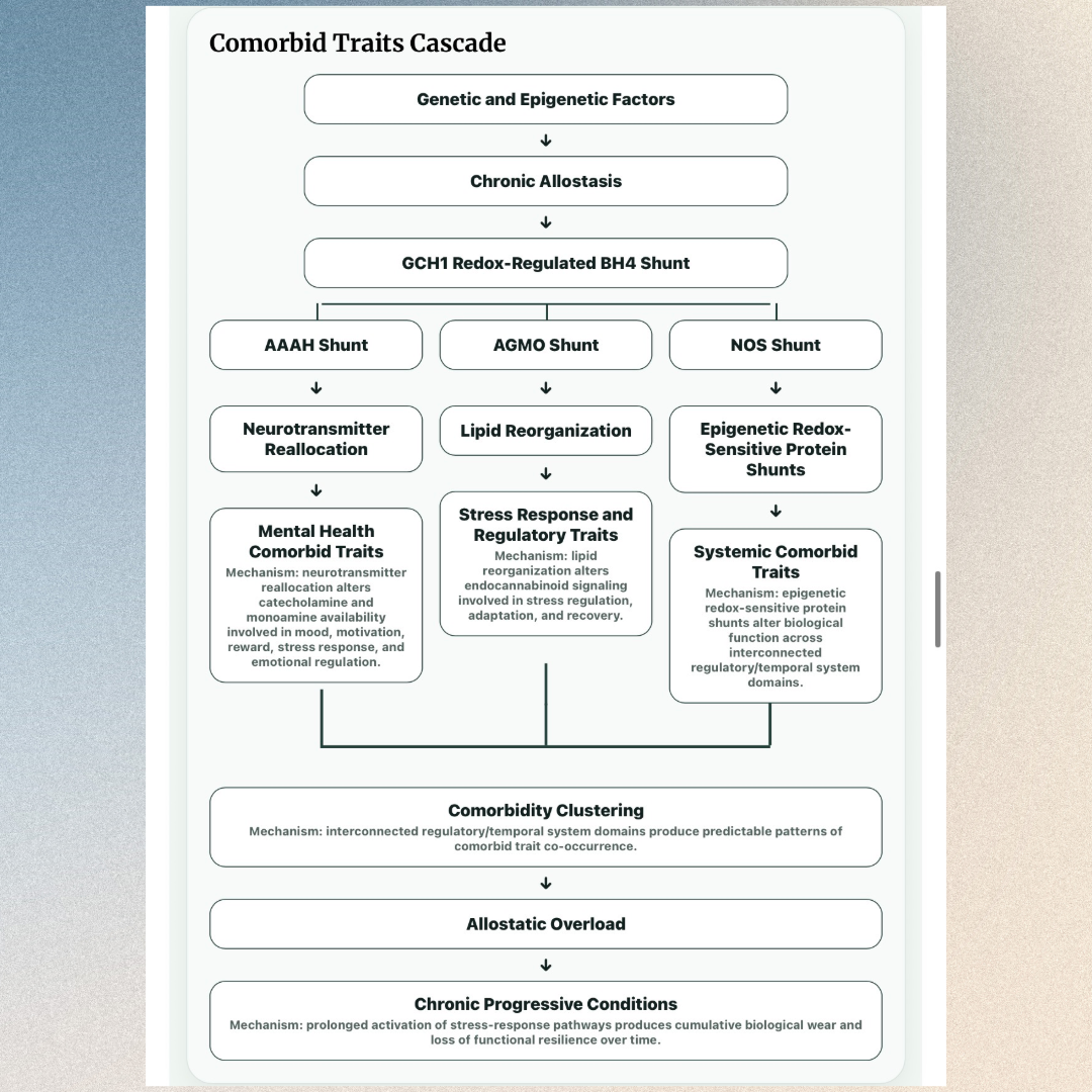Comorbid trait cascade showing systemic effects across interconnected regulatory domains