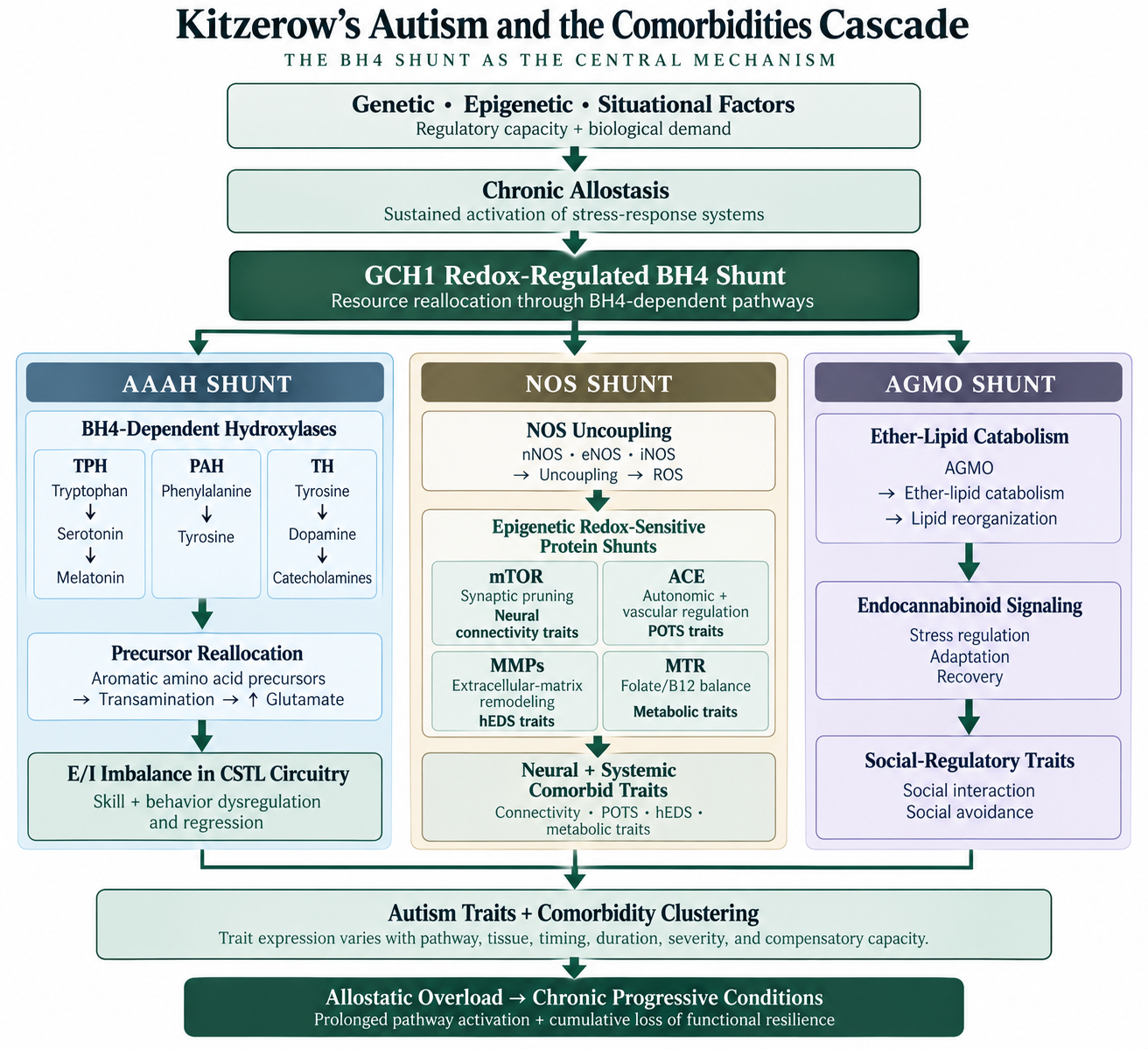 Kitzerow's Autism and the Comorbidities Cascade