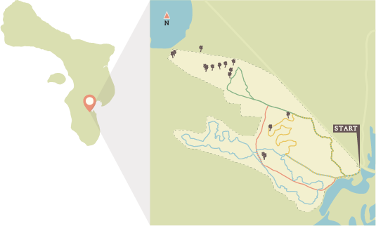 Locatiekaart