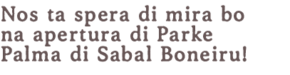 Wij kijken ernaar uit u te zien bij de opening van het Bonaire Sabal Palm Park!