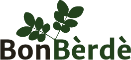 BonBèrdè