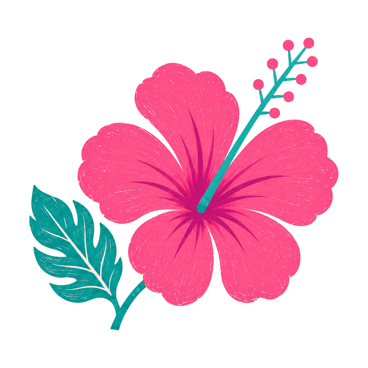 Hibiscus