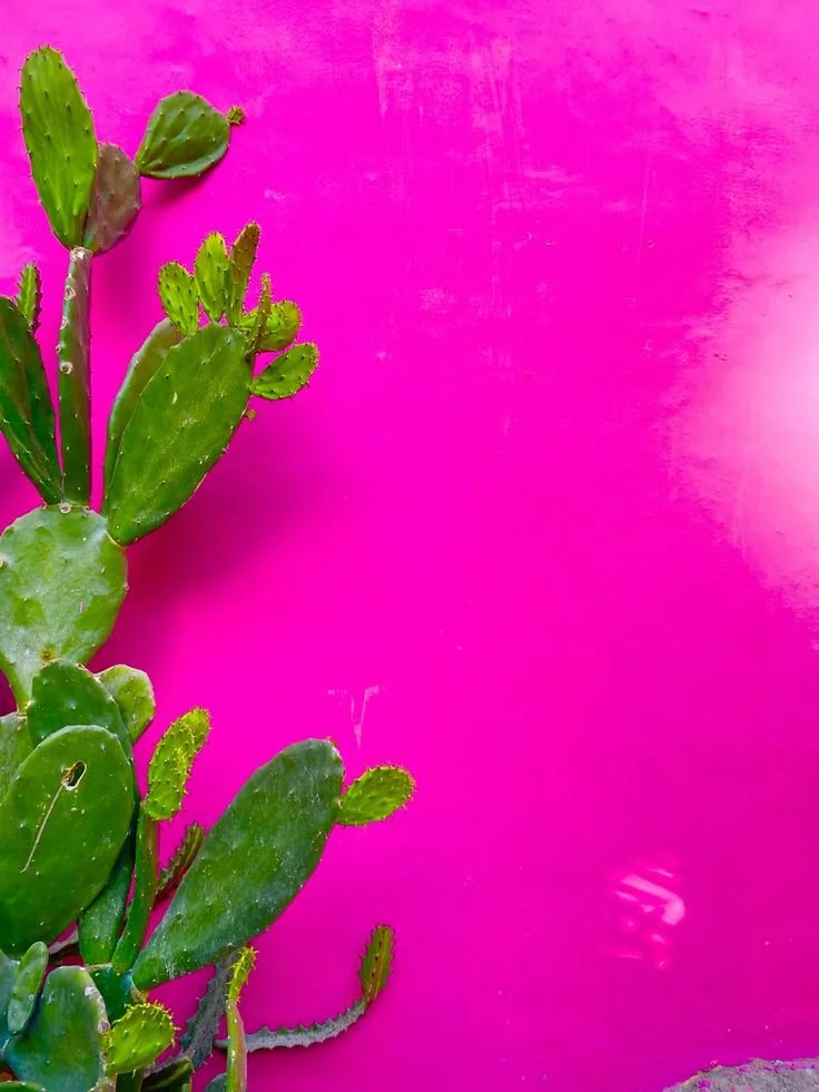 Cactus Pink