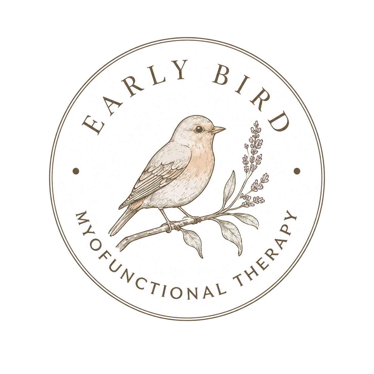 Early Bird combined logo and wordmark lockup, version 2