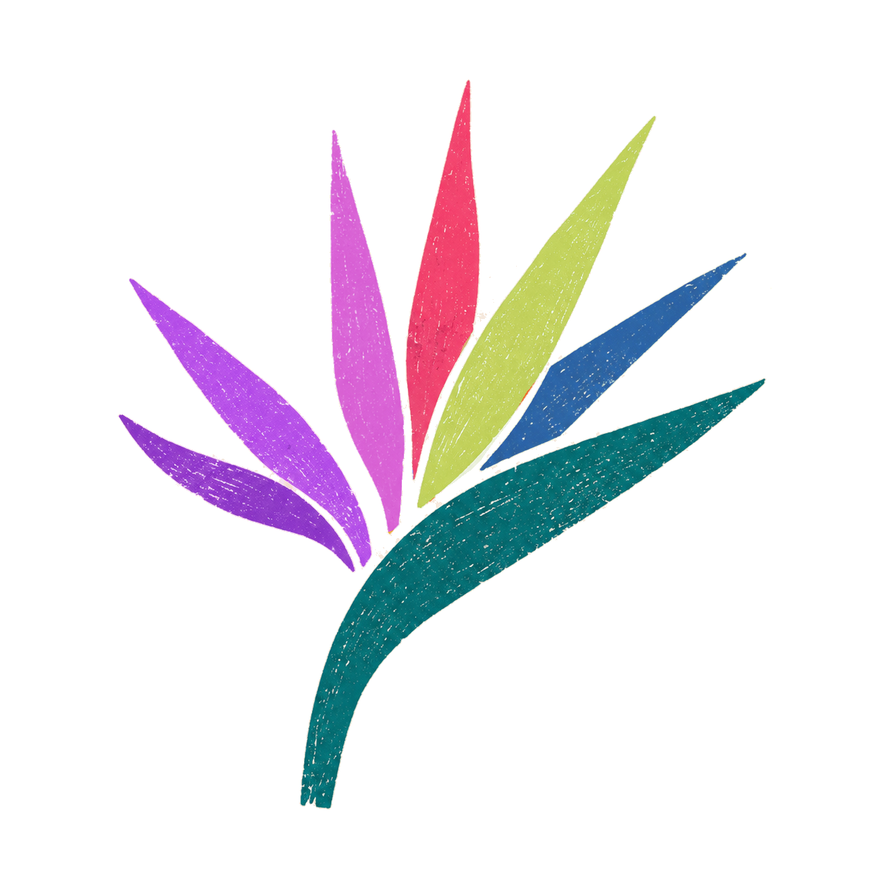 Bird of Paradise