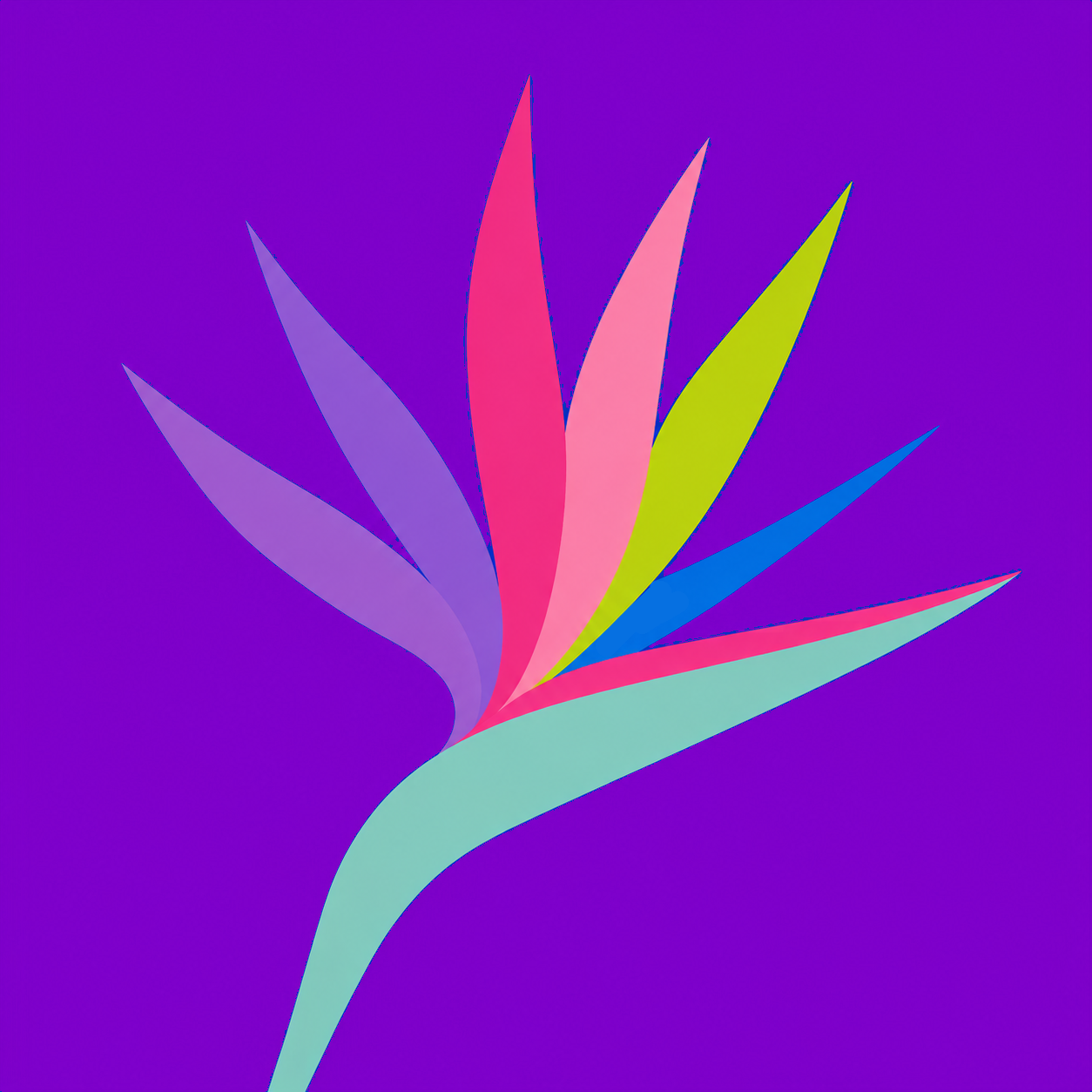 Bird of Paradise