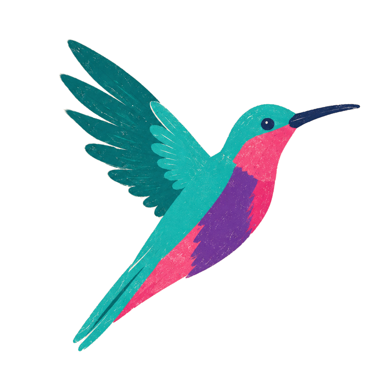Hummingbird