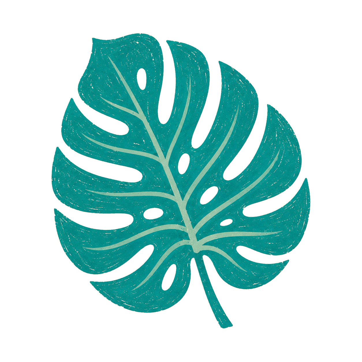 Monstera
