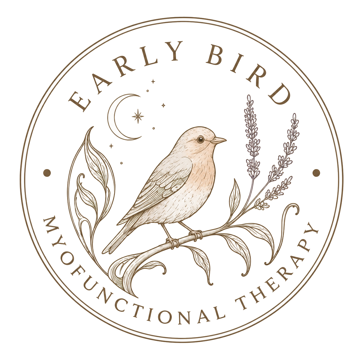 Early Bird combined logo and wordmark lockup, version 1