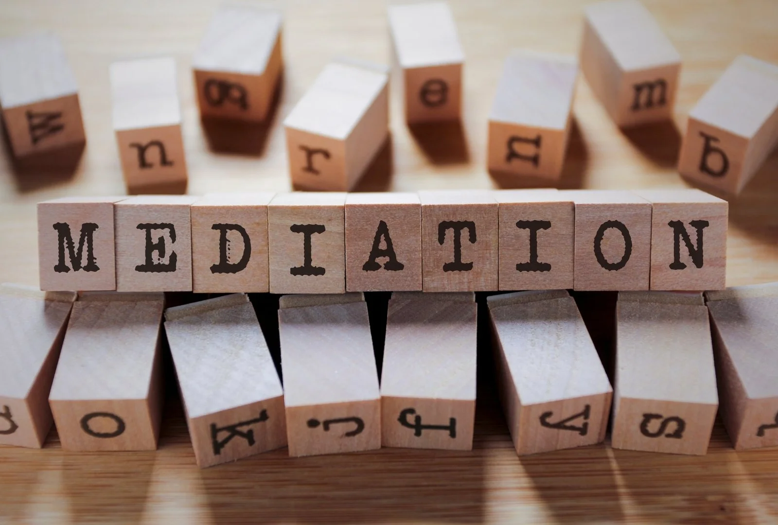 Mediators and conflict specialists
