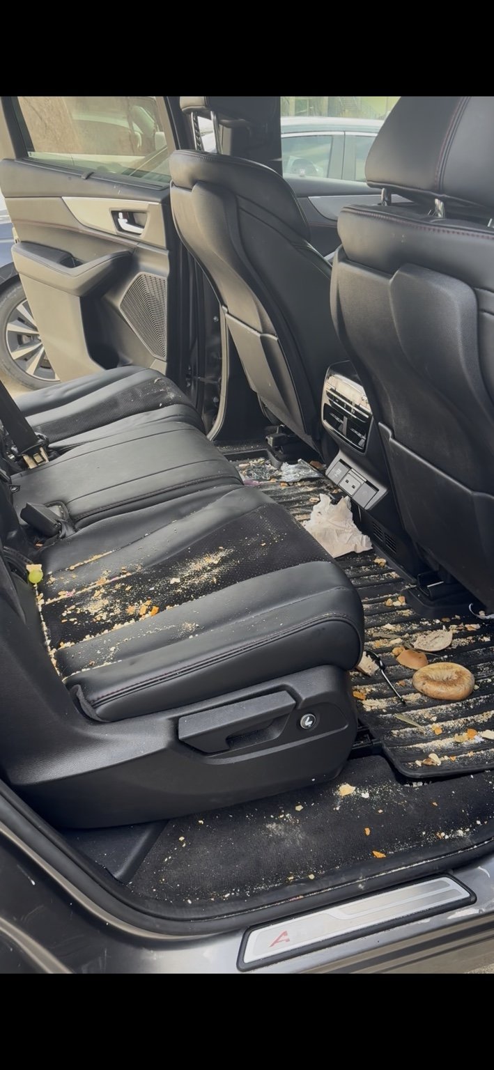 Rear seats and floor before interior detailing by Polish Patrol