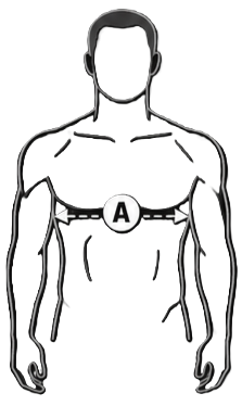 Body measurement guide