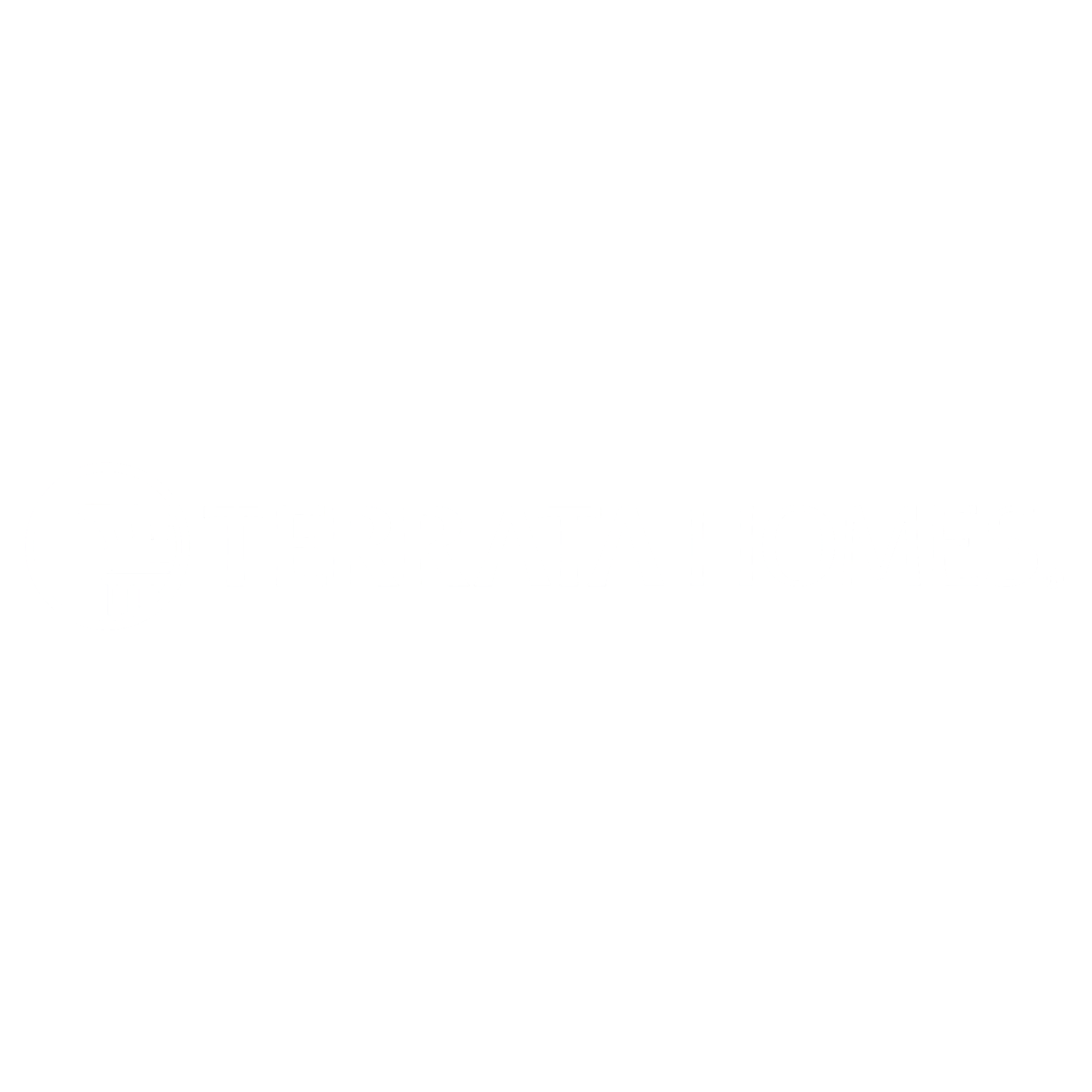 Terrata Homes logo