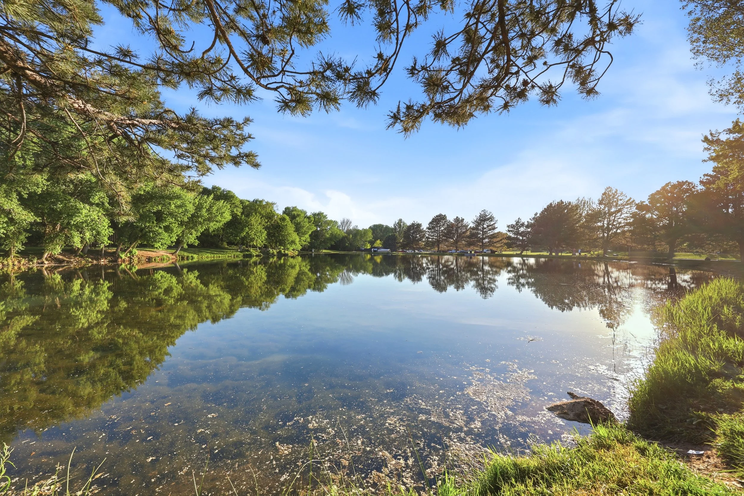 Canyon View Park