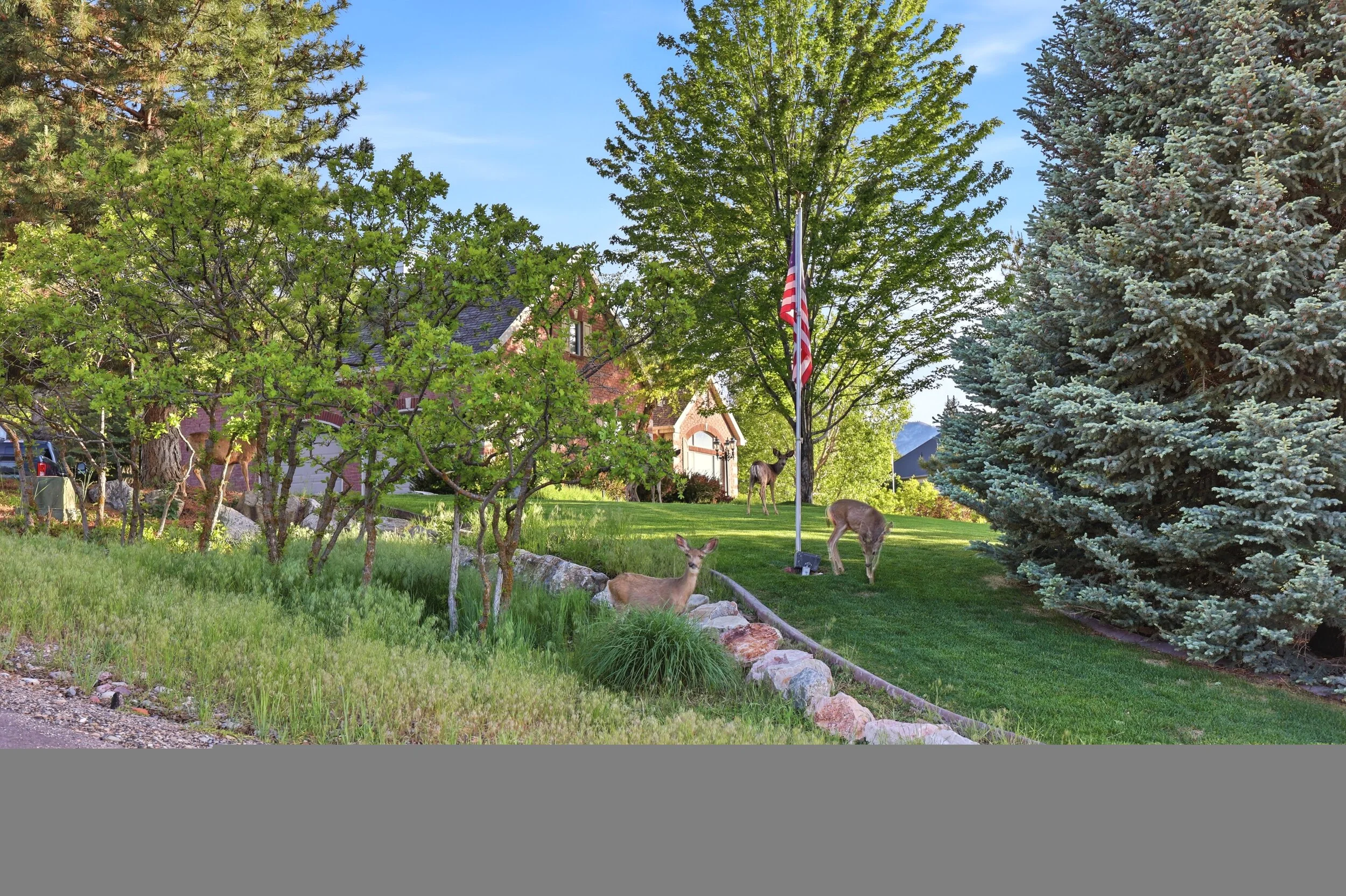 Foothill Wildlife Migration Corridor in Salem Utah