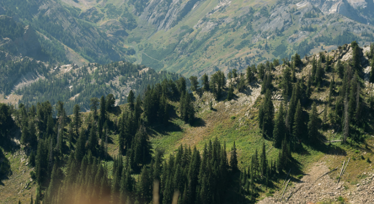 Utah landscape with mountains and trees