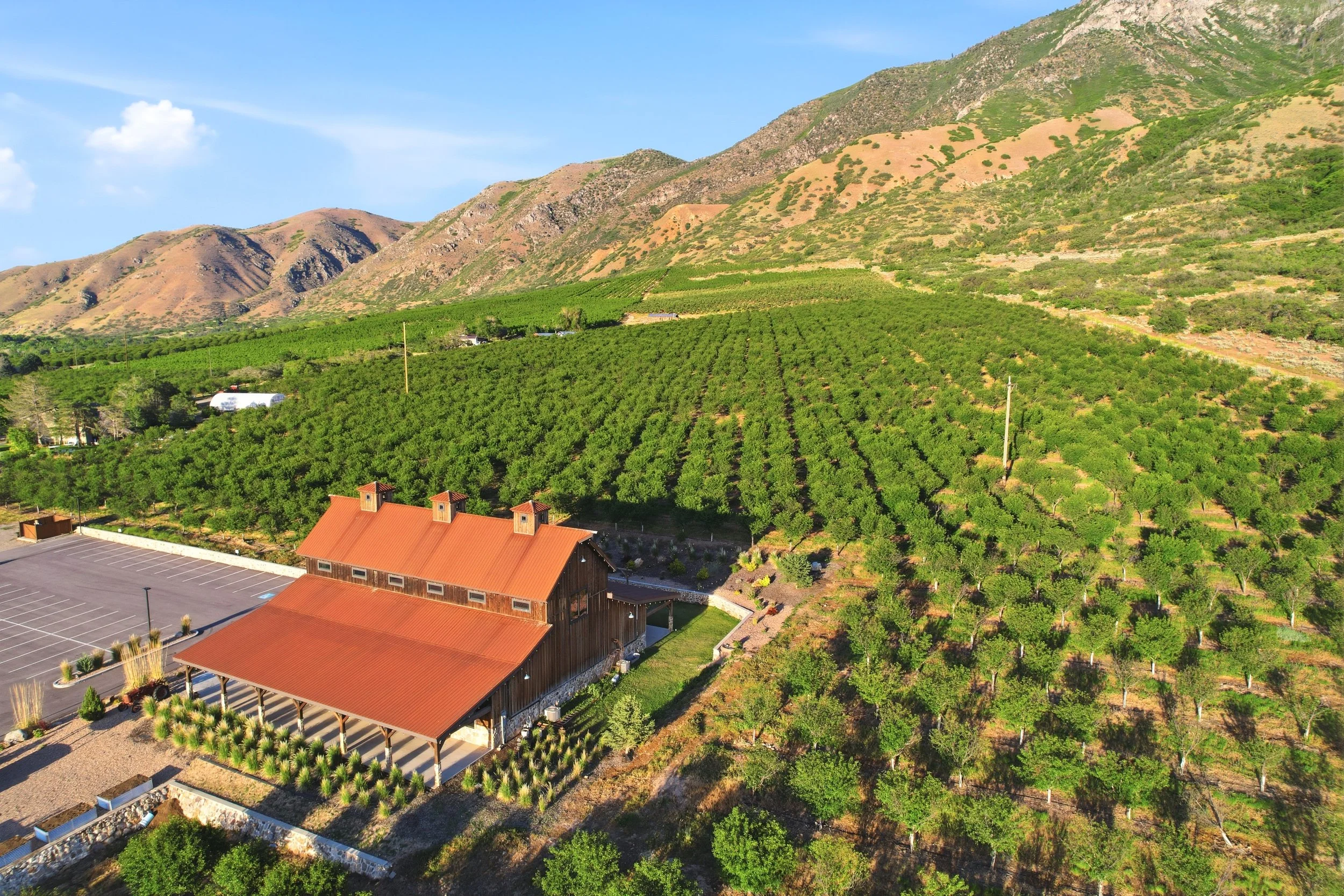 Santaquin Utah Fruit Orchards