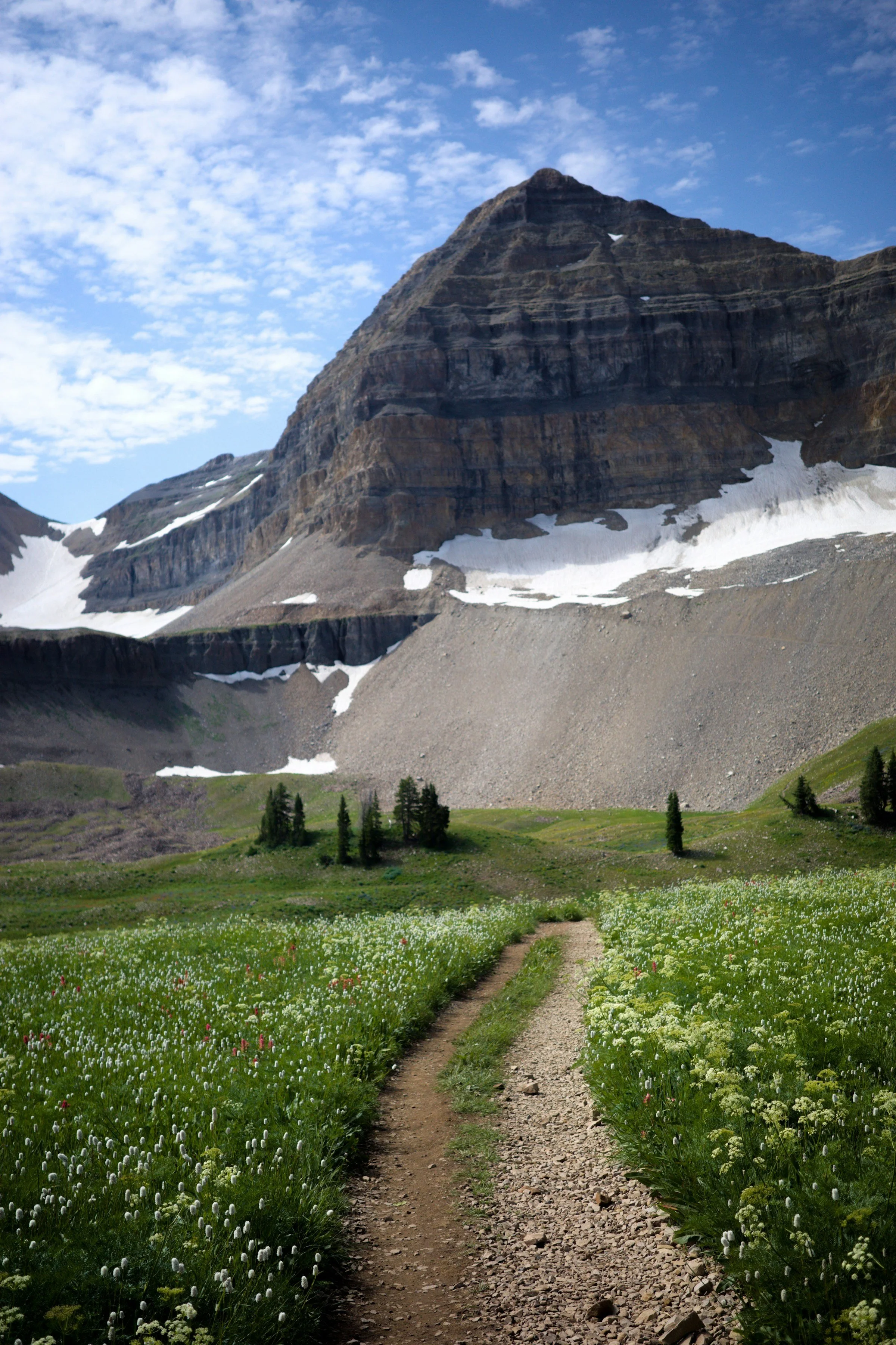Wasatch mountain trail and alpine landscape near American Fork Utah