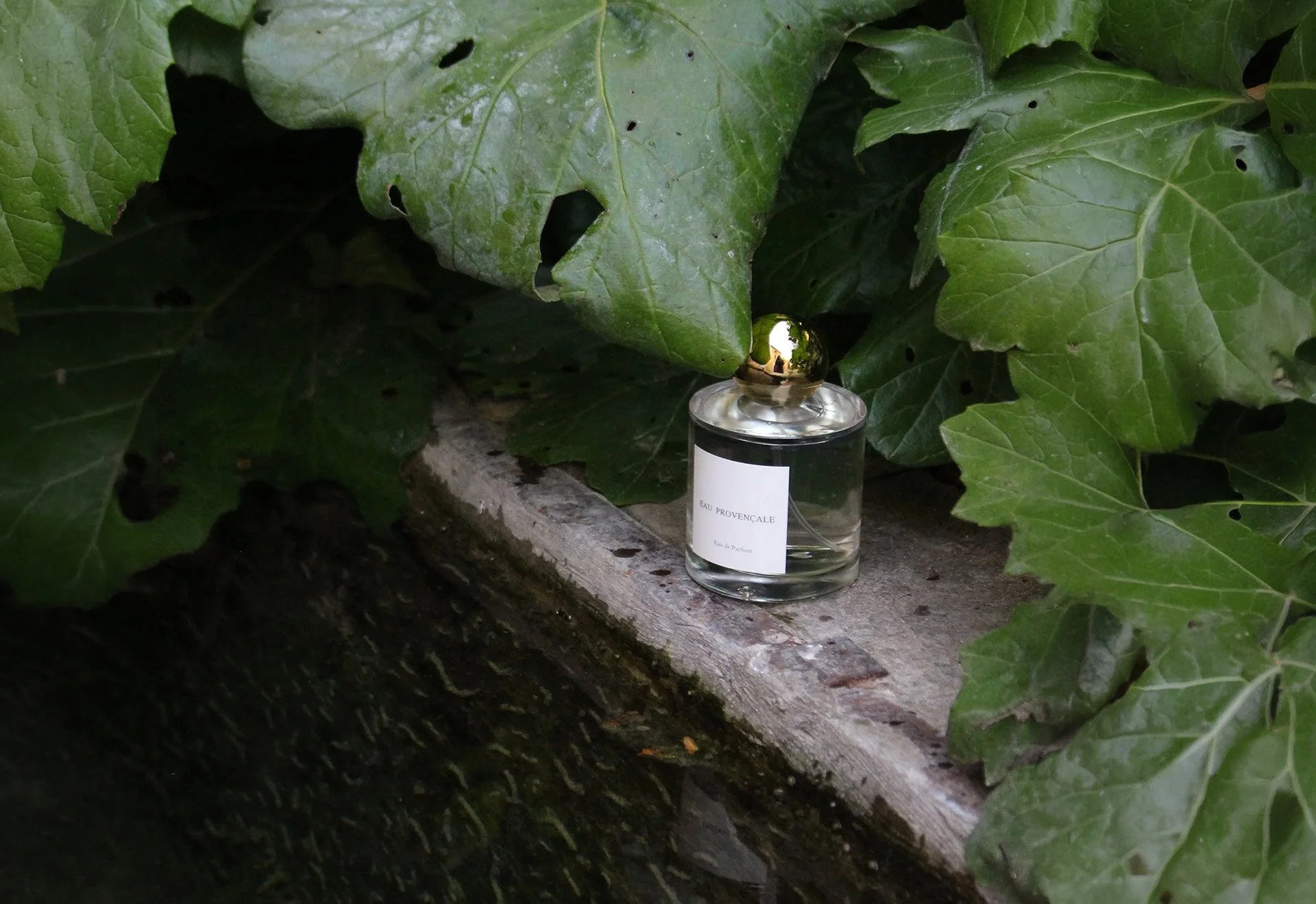 Les Eaux Provençales