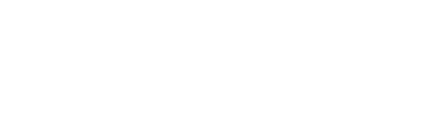 Synergy Learning Systems