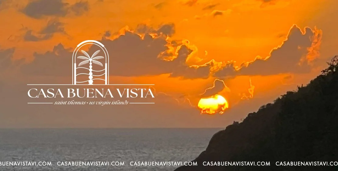Casa Buena Vista business image