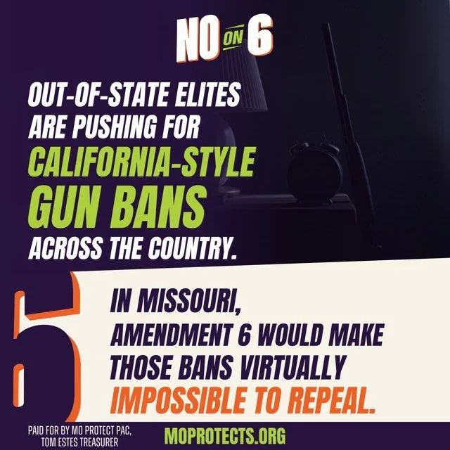 Gun Bans Graphic artwork